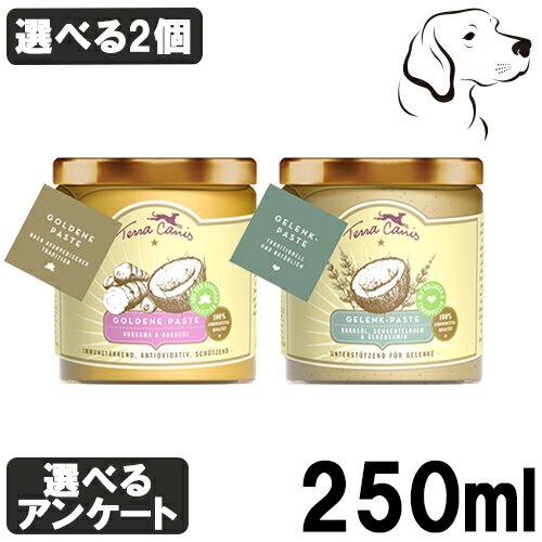 テラカニス 愛犬用 ペーストサプリ 250ml 選べる2個 ( ゴールデン・ジョイント ) 送料無料