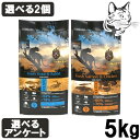 【マラソン期間は全商品P2倍以上】 アンブロシア HMN 愛猫用 5kg 選べる2個 送料無料
