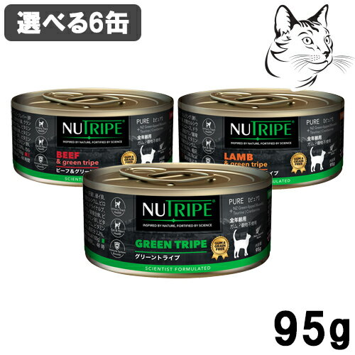 楽天市場】猫 ニュートライプの通販 楽天市場】猫 ニュートライプの通販