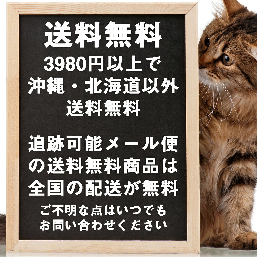 送料無料