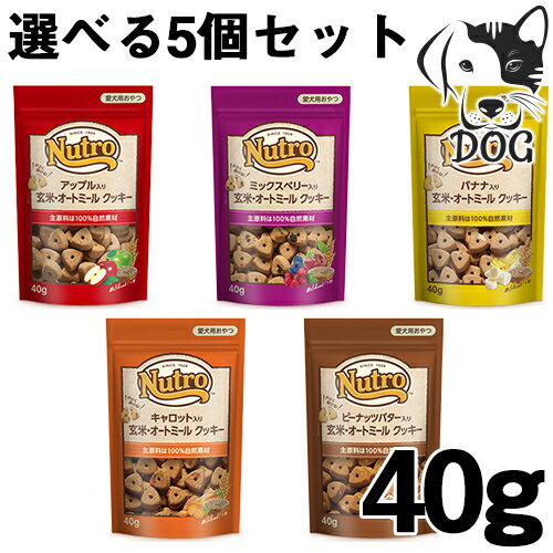 終売予定ニュートロ犬用おやつ玄米・オートミールクッキー40g選べるトリーツ5個セット(アップル・ミックスベリー・ピーナッツバター