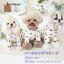 【クーポン対象商品!】犬服 かわいい 長袖 犬の服 ドレス 春夏 秋冬 小型犬 中型犬 トイプードル ダックス チワワ ドッグウェア 猫 ペット用品 ペット服 【ホワイト ピンク ベージュ XS S M L 】送料無料 メール便可ハートロングスリーブ 1,000円