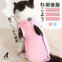 猫 術後服 メス オス 舐め防止 袖なし 首 ゴム入り 着せやすい 柔らかい 通気性 可愛い 術後ウェア 猫服 手術後 春夏 秋冬 エリザベスカラーの代わりに ...