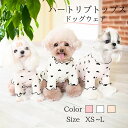 ＼最大2000円OFF★クーポン／【犬 服 秋冬 犬の服 名入れ】愛犬のお名前入り お茶漬けワンコ シャツ【ドッグウェア おちゃづけ パロディ チワワ ダックス トイプードル おもしろい スピッツ】(S/3/N/H/)