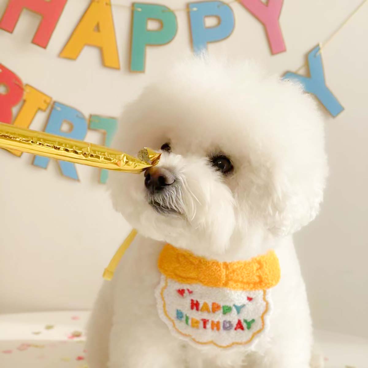 犬 誕生日 グッズ 帽子 スタイ 誕生日セット 飾り付け 衣装 犬用スタイ ハット 2点セット バースデー ペット用 おもちゃ 小型犬 子犬 パピー 猫 パーティーセット ペット用品 蝶ネクタイペット用誕生日2点セット 2