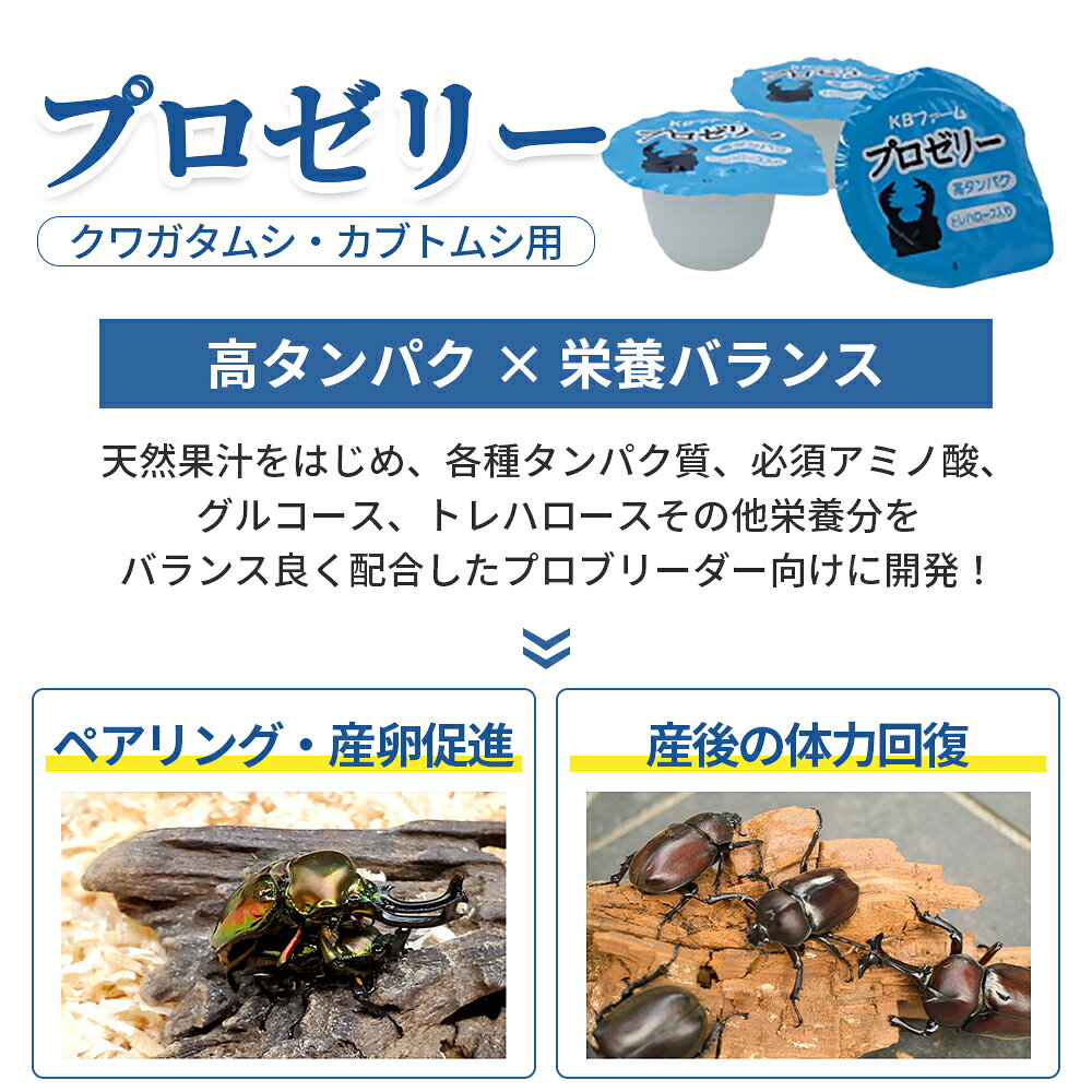 昆虫ゼリー プロゼリー 16g 50個 KBファーム バナナ風味 高タンパク質 カブトムシ ...