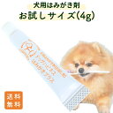 【おひとり様1回1点限り】\お試しサイズ 実質送料のみ/ドッグハピネスはみがきプラス 犬 犬用 歯磨きジェル 歯磨き ペースト 歯磨き粉 口臭 口臭ケア 歯石 歯垢 歯周病 4g 【おひとり様1回1点限り】