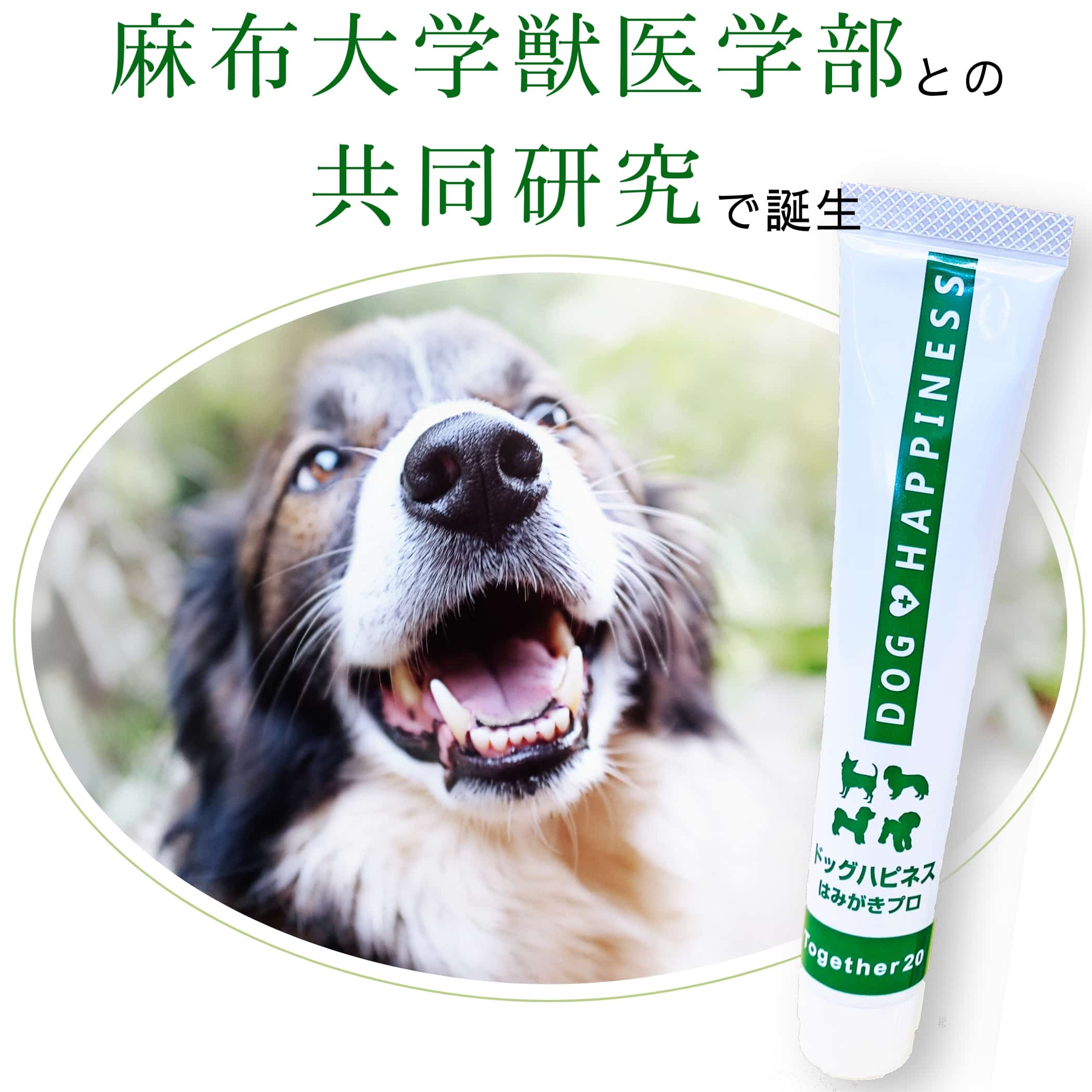 GR 犬 歯磨き粉 楽天市場】犬用歯磨き粉の通販