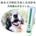 【選べるサンプルプレゼント中 】 犬 犬用 歯磨きドッグハピネスはみがきプロ 歯磨き粉 歯磨きジェル ペースト 口臭 口臭ケア 歯石 歯垢 歯周病 45g