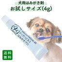 【おひとり様1回1点限り】\お試しサイズ 実質送料のみ/ドッグハピネスはみがきプロ 犬 犬用歯磨き 歯磨き粉 歯磨きジェル ペースト 口臭 口臭ケア 歯石 歯垢 歯周病 4g 小型犬約1週間分