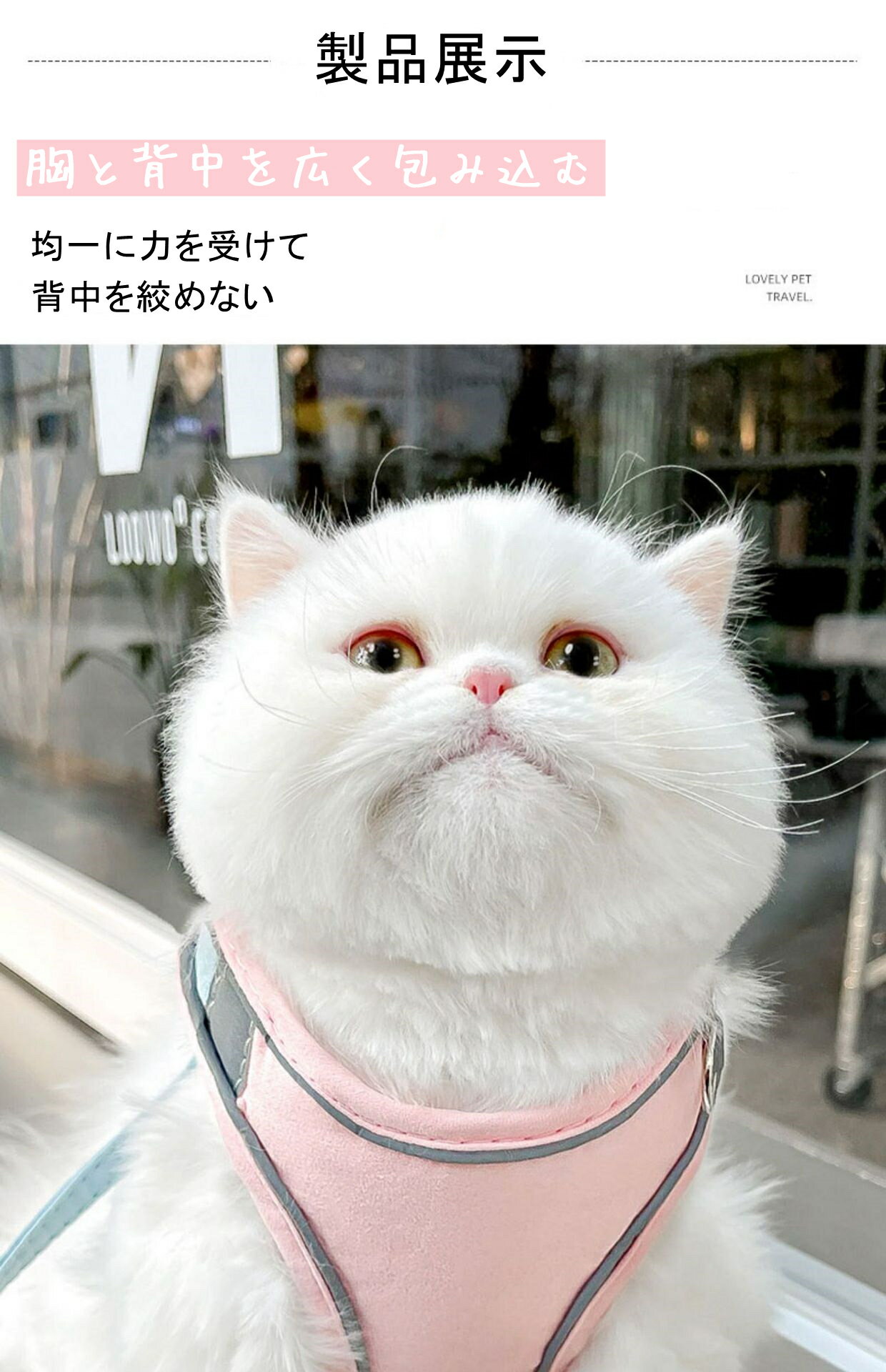 ����å����꡼�� ����ݾ� ǭ�ѥ꡼�� ���⤬�ڤ����ʤ� ����ǭ �淿ǭ �緿ǭ ���襤�� �ڥåȥϡ��ͥ����꡼�� ǭ������ �ڥå����� �ϡ��ͥ� �꡼�ɥ��å� �ϡ��ͥ� ���Υ꡼�� �¿����� ���Ф����� ������� �ڥå��� ȩ�ˤ䤵���� ���餫�� ȿ�ͥ��ȥ�å�