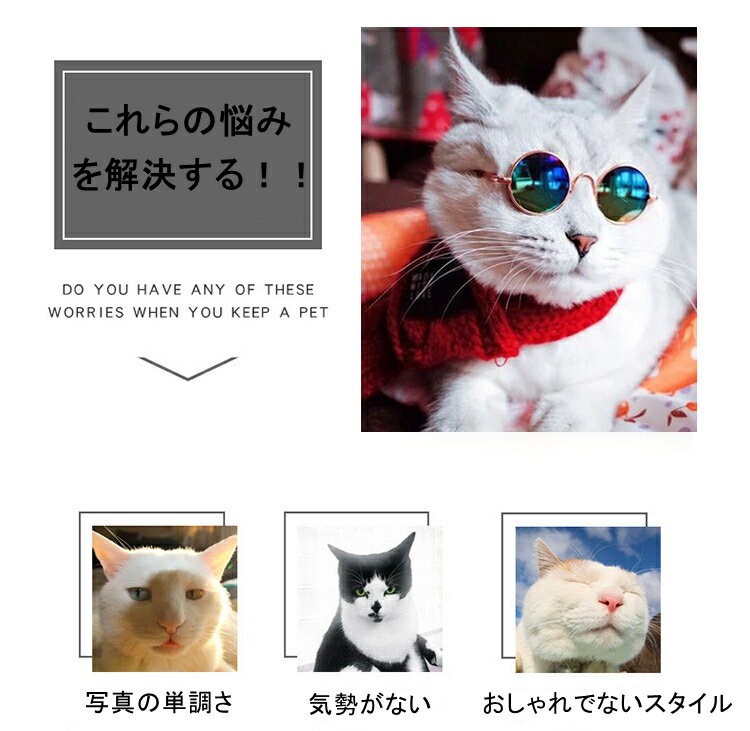 �ץ쥼��� £��ʪ �������� �ڥå��ѥ��󥰥饹 �ڥå����� ���� ������ �淿�� �ҥåץۥåס��������� �ȥ��ɥե��å���� 4�������� ���Ƥ��ɻ� �׸� ��Ŭ�� ��������å���ʳ��� �ޤꤿ���߼� ����� �İ��� ���� ƻ�� �ե��å����إåɥ����� �̿�������