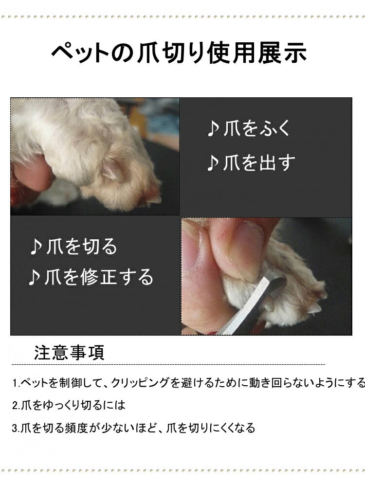ペット用爪切り ヤスリ セット 小型犬 猫用 中型犬 大型犬 ツメ切り 爪ケア 安全 ピンク ブルー 爪きり 猫用爪切り 爪ヤスリ 犬 つめきり 猫爪切り 爪やすり ストレスなくスパッと切れる つめ切り 流行 ニッパー 猫に専用 2サイズ 猫に専用ペット用品 初心者