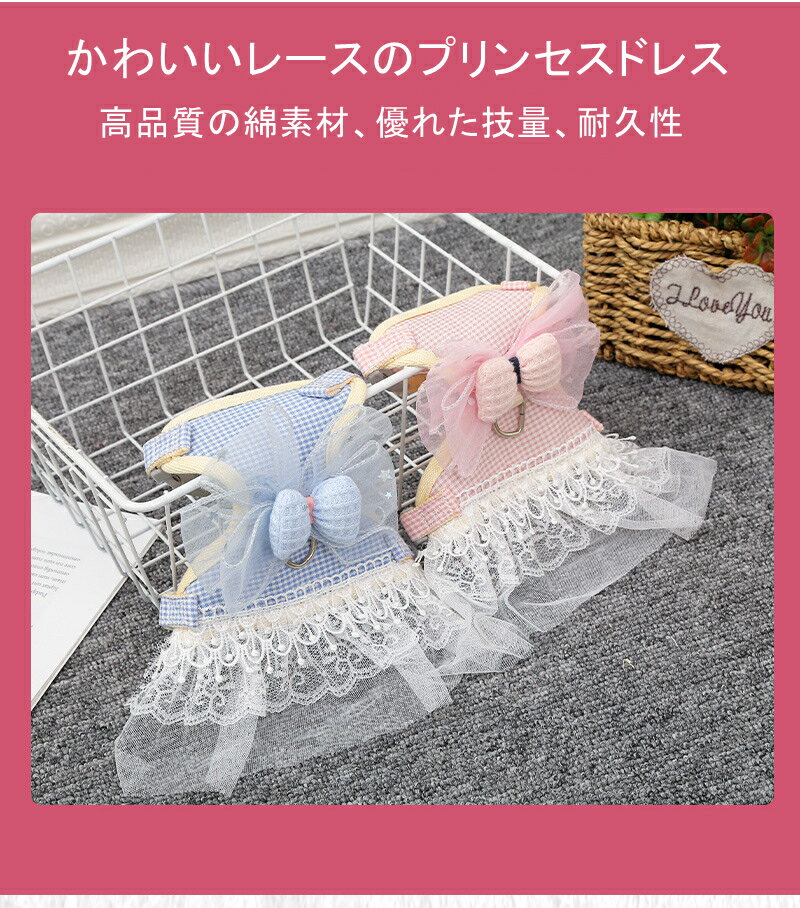 ǭ �ڥåȥ����� ���åȥ��� ����åĥ����� �ڥå��� �ڥå����� ��������� ���å� �ץ쥼��� �Ǻ�Τդ��� �졼���ץ�󥻥��ɥ쥹��Ķ�İ���! �ڥåȥ����� ������ ǭ�꡼�� ǭ���»Ҥˤʤ�Τ��ɤ� ����ʥ��åȥ��Ǻ� �İ��� ĳ�ͥ����� Ĺ��̿�����ѵ���