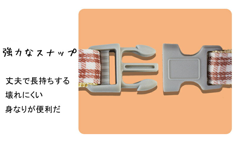 ���������ȥ饤��ɱ�������� ǭ�꡼�� ǭ�����襤�� ǭ �ڥåȥ����� �ڥå��� �ڥå����� ������� �Ǻ�Τդ��� �졼���ץ�󥻥��ɥ쥹 Ķ�İ��� ������ ǭ���»Ҥˤʤ�Τ��ɤ� ����ʥݥꥨ���ƥ�.�Ǻ� Ĺ��̿�����ѵ��� ����å����꡼�� �ե��å����