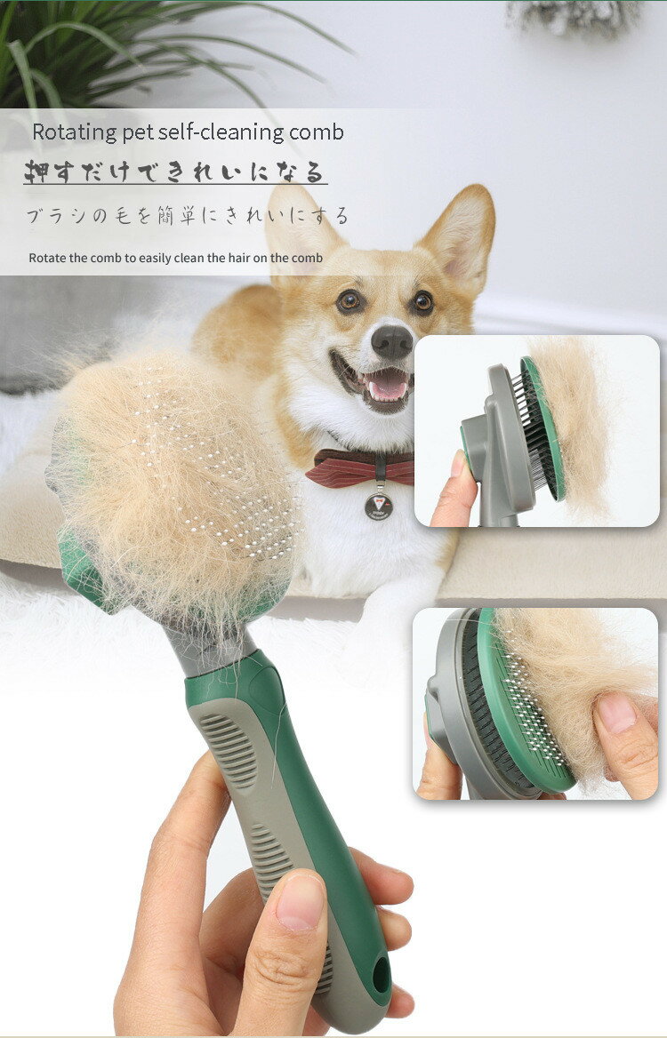 ǭ���ڥå��ѥ֥饷 �礫���̤������줬��� �֥�å��󥰤ˤԤä��ꡡ��������������ŷ���Ǻ�ȥɥ��Ŀ��ͤγΤ��ʵ��ѡ�����å��� �ڥå��ѡ� �������֥饷���ͥ������֥饷 ǭ �� �Ӥμ�����