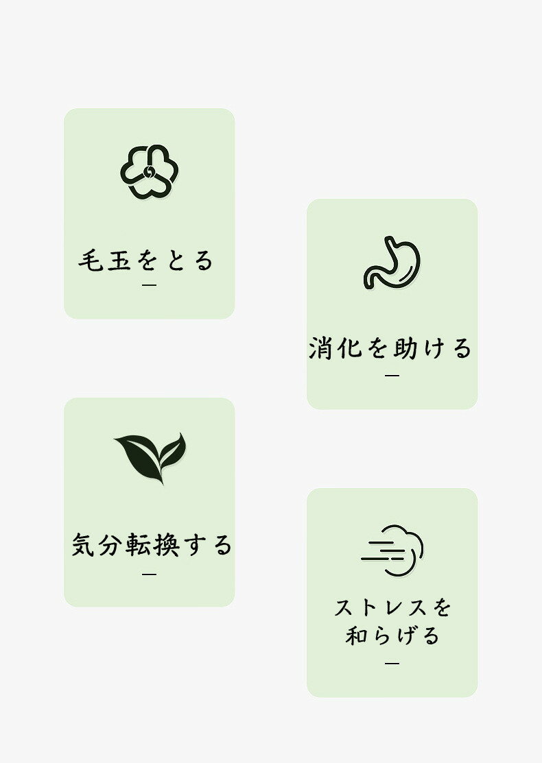 �ڥå� �� ǭ �ա��ɥ� �ڥå����� ���� ������ �淿�� �ڥåȥա��� �İ��� �ѵ����ɤ� ǭ������� ǭ����餷 ǭ�ߥ�� �� ŷ���Ǻ� �� �ؤ� ���ॹ�ƥ��å� �� ���פ� �ߥ��