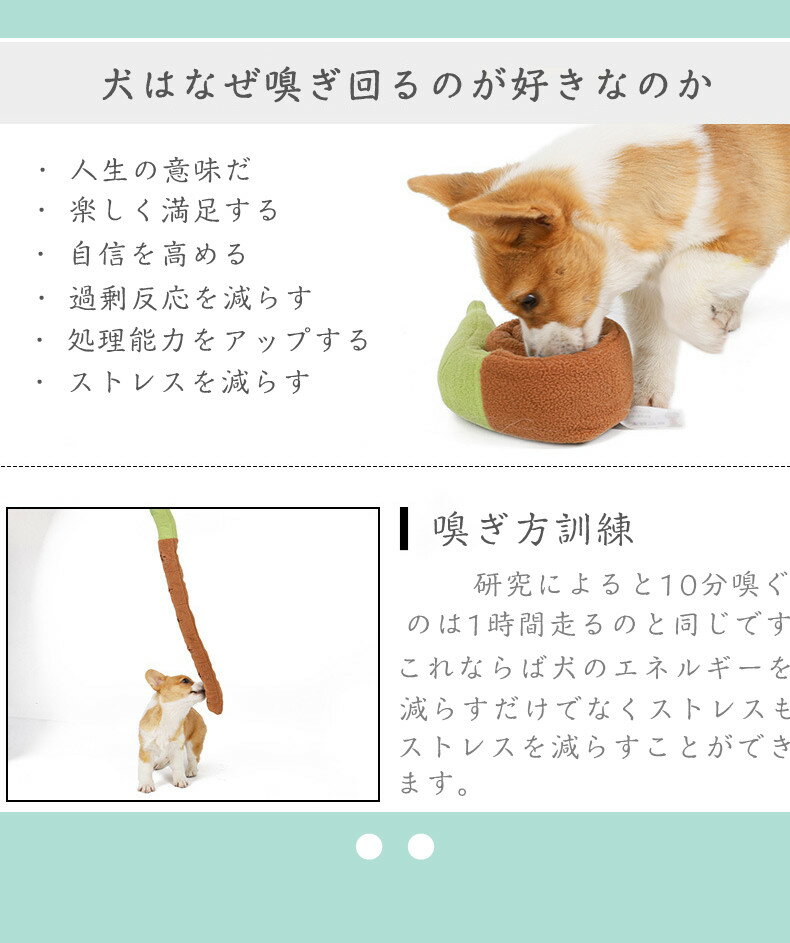 70 以上節約 ペット 犬 おもちゃ 犬のおもちゃ ロープ 結び目 耐性 遊びながらデンタルケアができるデンタルおもちゃ おやつを探す 歯 おやつをおもちゃに隠す モル 犬のかみ傷に強い ストレス解消