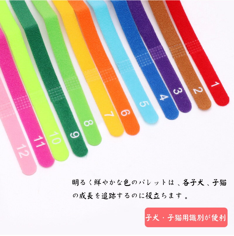 「S、M、L」12色セット ペット用 識別首輪 数字付 超軽量 ペット用首輪 猫 子犬用首輪 調節可能 犬用バンド かわいい 軽い 簡単着脱 子犬識別 猫用首輪 ペット用品 おもちゃ飾り サイズ調整可能 可愛い 撮影用 高級感首輪 マジックテープ付き 保護用 子犬・子猫用識別カラー