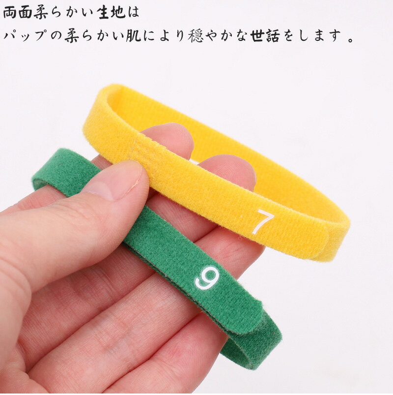 「S、M、L」12色セット ペット用 識別首輪 数字付 超軽量 ペット用首輪 猫 子犬用首輪 調節可能 犬用バンド かわいい 軽い 簡単着脱 子犬識別 猫用首輪 ペット用品 おもちゃ飾り サイズ調整可能 可愛い 撮影用 高級感首輪 マジックテープ付き 保護用 子犬・子猫用識別カラー