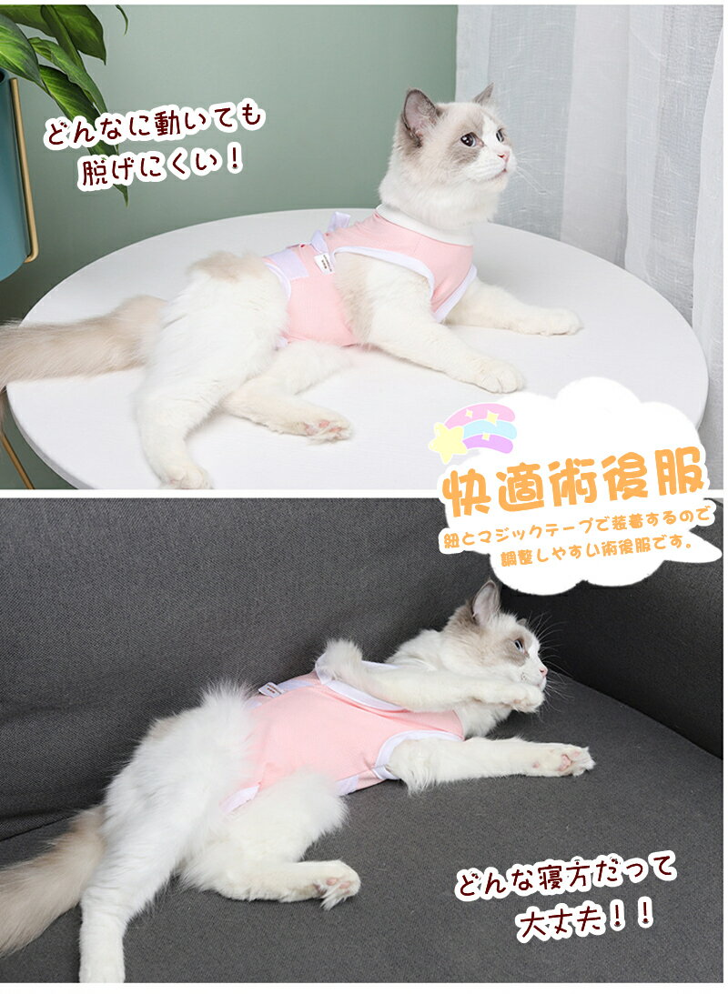 猫用 ペット 猫 術後服 去勢手術 避妊手術 傷の保護 皮膚の保護 Mサイズ Lサイズ 術後服 ソフト 柔らか 軽量 傷の保護 S M L 猫 ネコ 舐め 防止 ペット術後の必需品 成猫用 去勢 ダイエット プロ ペット用品 傷口保護 真菌症 薬添付時 柔らかい