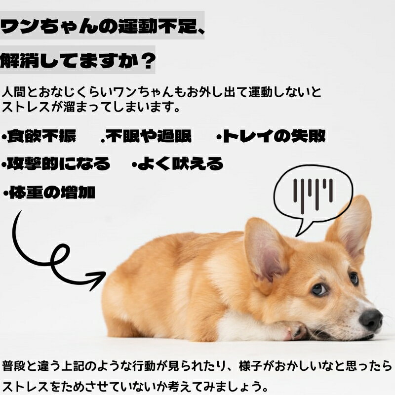 犬 フリスビー 約17.8cm 犬のおもちゃ 投げる 柔軟 シリコン 犬用フリスビー 運動 軽量 散歩 遊ぶ ペットおもちゃ 歯の健康 かわいい 運動不足解消 ストレス発散 公園遊び