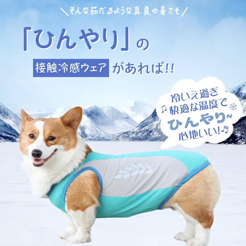 【10XL-11XLサイズ】 大型犬 熱中症対策 犬の服 クールベスト ひんやり 高品質 夏服 涼しい 体温調整 洗濯機丸洗い可能 快適 水に濡らして 冷える ペット用 防虫 冷感 夏 吸汗速乾 メッシュ 反射テープ付き 犬 服 クール 接触冷感ウェア 暑さ対策 UVケア 冷却