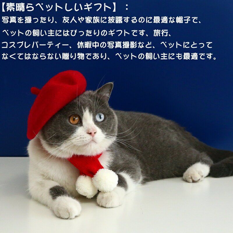 猫帽子 ベレー帽 ヘアバンド ベレー帽 防寒 ペット用帽子 小型犬 猫帽子 着脱簡単 可愛い 散歩 旅行 写真 ペット帽子 冬 記念撮影 イベント 写真撮影 散歩 エレガント かわいい ペット用品 ペット飾り サイズ調整 お出かけ 猫 ねこ ネコ