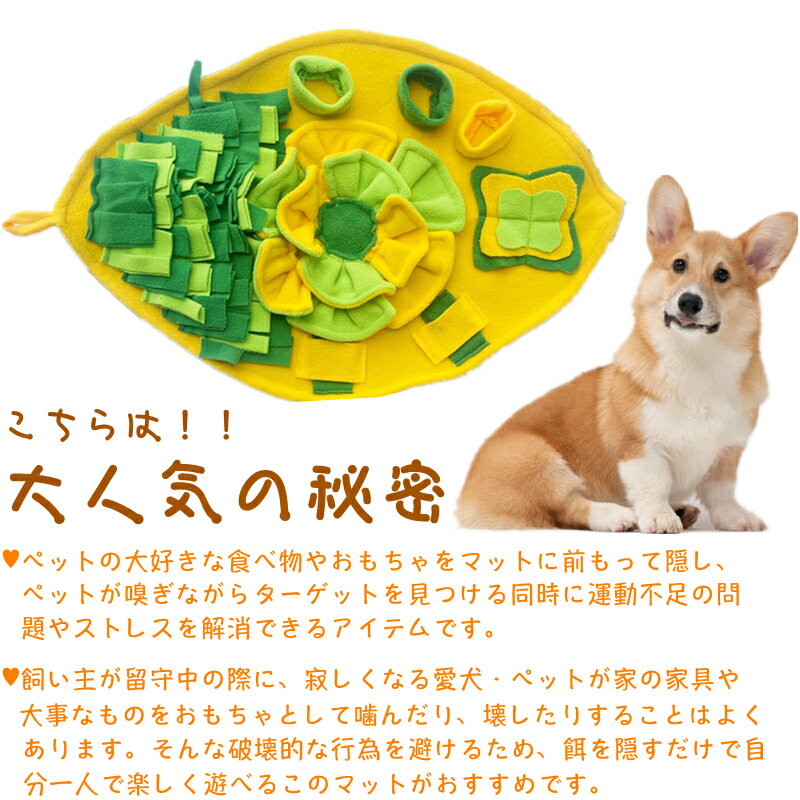 犬用おもちゃ ノーズワークマット 洗える 丈夫な 分離不安 嗅覚訓練 運動不足 ストレス解消 犬噛むおもちゃ ノーズマット ペット用 ペットマット 滑り止め 洗いやすい 可愛い ワンちゃん 犬用マット 遊び場所 知育玩具 早食い防止 ペットおもちゃ マット 犬 快適な素材