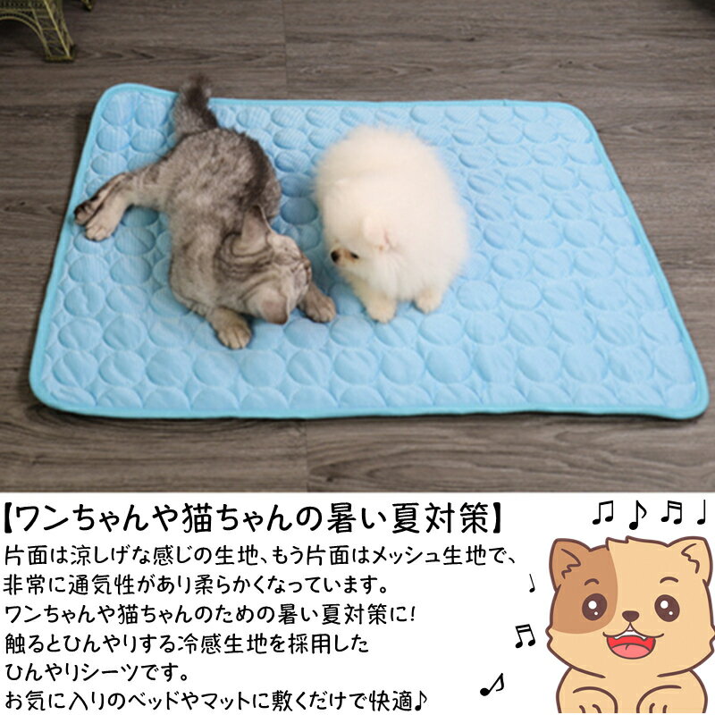 ���к� �ڥå��� �Ҥ��ꥷ���� �䴶 ������ ��å��� ���� �ڥå��� �䴶������ �����ä��ޥå� ǭ �ڥå� �ܿ��䴶������ �ޥå� ���� �䴶�ߤ��ѥå� �ɿ� ®�� �ý� ������� ��� �ݤ��������� �����֤����Ѳ�ǽ ������ ǭ ���� 50*40cm �����ɥ��� �뤵�к� �̵�