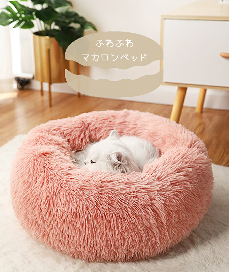 サンプル画像2