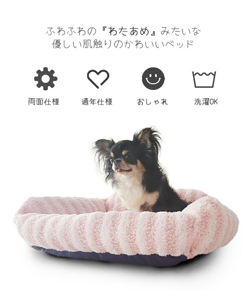 犬猫 ベッド スクエア ラウンド クッション かわいい パステルカラー ふわふわ 小型犬 丸洗いOK ペティファーム Petifam CottonCandyベッド SQUARE ROUND