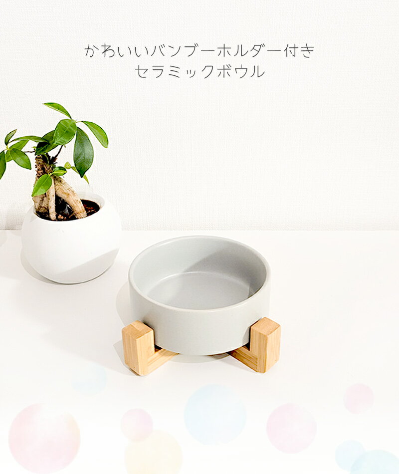 犬 猫 陶器 食器 食器台 かわいい おしゃれ 小物入れ ごはん皿 ペットボウル フードボウル 食べやすい 取り外し 洗える ペティファーム Petifam RAMUNEスタンドボウル 【シングル】 3