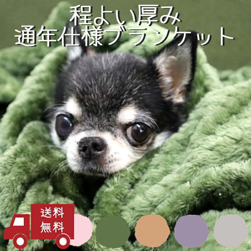 【あす楽】冬 ブランケット ひざ掛け 防寒 毛布 あったかい 犬 猫 通年仕様 肩掛け おしゃれ 高級感 ふわふわ 肌ざわりが良い フランネルブランケット Mサイズ 70 100cm Petifam