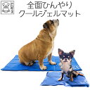 【あす楽】ひんやりマット ジェルマット ペット用 犬 猫 クールマット ひんやり 冷たい 熱中症予防に コンパクト 折り畳み ポータブル お手入れ簡単 使いやすい 両面仕様 FROZENクーリングマット XSサイズ