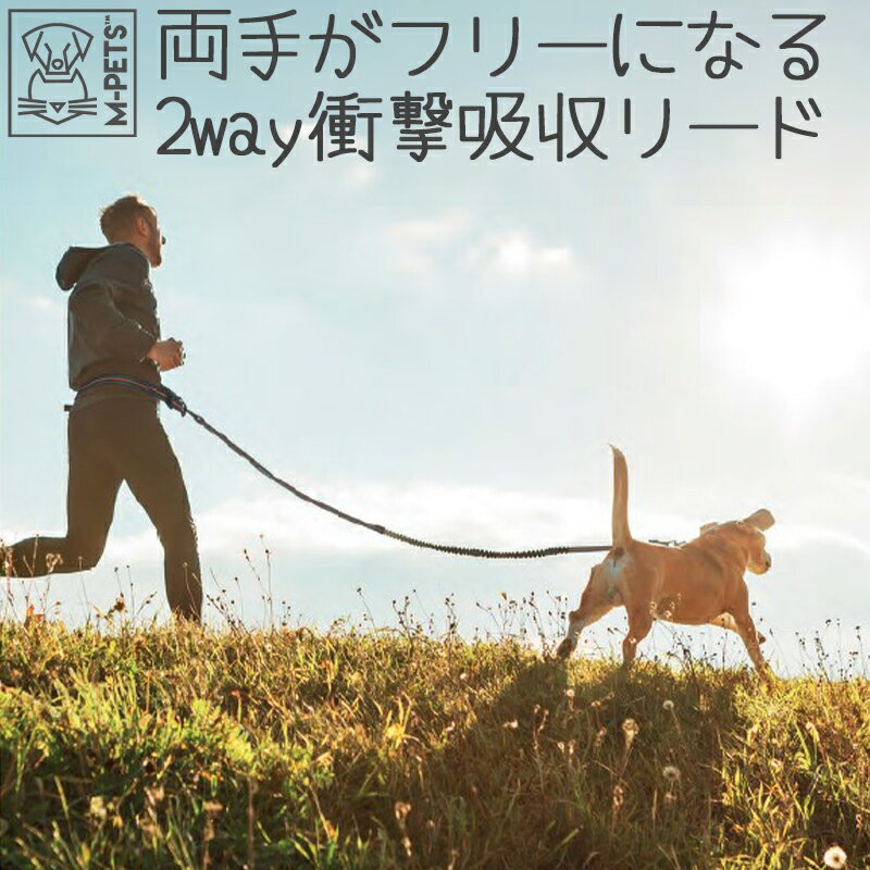 【あす楽】犬 小型犬 中型犬 大型犬 リード フリーハンド 斜め掛け ジョギング 手が空く 反射板 夜間安..