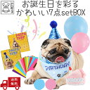 【7/15限定ポイント5倍】犬 お誕生日 お祝い プレゼント 記念写真 撮影 ガーランド おしゃれ かわいい 記念日 パーティー M-PETS Party time DOG Petifam