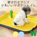 【あす楽】しつけ 犬 マーキングポール トイレ 囲い 飛び散りにくい トイレトレー おしゃれ カラフル サボテン 掃除しやすい 子犬 超小型犬 小型犬 トイレトレーニング Petifam オアシスドッグトイレ ワイド イエロー ブルー