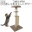 åȥ åȥϥ  ƥꥢ Ωƴñ ֤ ʥڡ  鴶  å С ޤȤ ư­ M-PETS 硼åȥ George Cat Tower Petifam