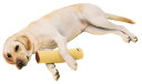 【マラソン中はP5倍】ペティオ zuttone ずっとね 老犬介護用 床ずれ予防クッション スティック型 大 マット クッション 犬 介護期 全犬種 中・大型犬...