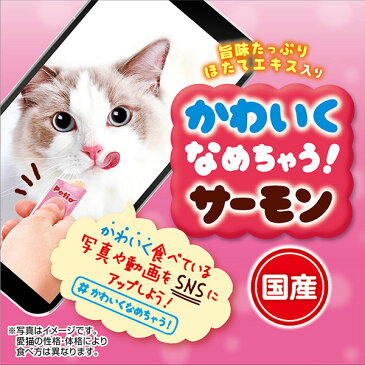 ペティオ かわいくなめちゃう!サーモン 4本入 鮭 猫用ペーストおやつ キャットフード 国産 日本製 キャットスナック サケ 子ネコからシニアまで食べられるペーストおやつ! Petio