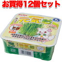12個セット 1個分無料|ペティオ ネコの元気草 国産 日本