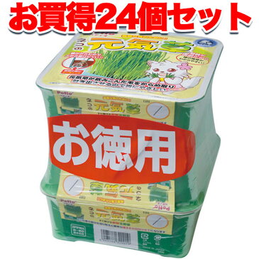 【24個まとめて1個無料 送料無料】ペティオ ネコの元気草 3コパック 国産 日本製 犬猫用 イヌ ネコ ケア 栽培セット ポリプロピレン エン麦 培養土 健康な胃のために Petio