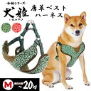 ペティオ 犬雅 唐草ベストハーネス M グリーン | Petio 犬用ハーネス 胴輪 犬具 お散歩 中型犬 ~20kg 和柄 唐草模様 簡単装着 ワンタッチバックル 通気性
