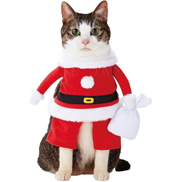 ペティオ クリスマス 猫用変身着ぐるみウェア サンタボーイ ネコ用服 短毛 長毛 アクセサリー コスプレ Petioのサムネイル