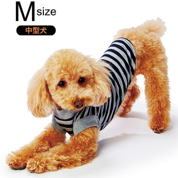 ペティオ E-Stretch スキンTシャツ ダークブルーボーダー M 中型犬 短毛 長毛 イヌ アパレル ウェア Petio