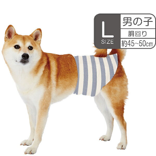 ペティオ 犬用オムツ frais フレス たっぷり吸収するエチケットパンツ 男の子用おむつ L 12枚 全年齢 中型犬 短毛犬・長毛犬 シーツ エチケットウェア Petio W27227 1