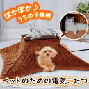 【3000円以上で300円OFFクーポン5/9 18:00まで】ペティオ 犬猫用ヒーター カラダ全体をあたためるペットのための電気こたつ2 抗菌防臭生地 暖房 超小型犬～小型犬 全猫種 短毛 長毛 ?8kg 秋冬…