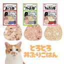 ハッスルごはん研究所キャット まぐろ丼/かつお丼/カニカマ丼 40g
