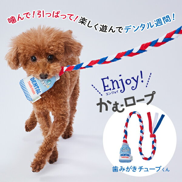 アドメイト 犬用おもちゃ Enjoy!かむロープ 歯みがきチューブくん 歯みがきおもちゃ オールステージ 超小型犬～小型犬 短毛犬・長毛犬 玩具 犬用 縫製 Add.mate A27447